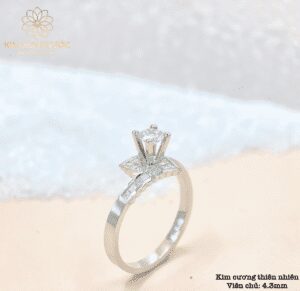 nhẫn-cầu hôn-kim cương