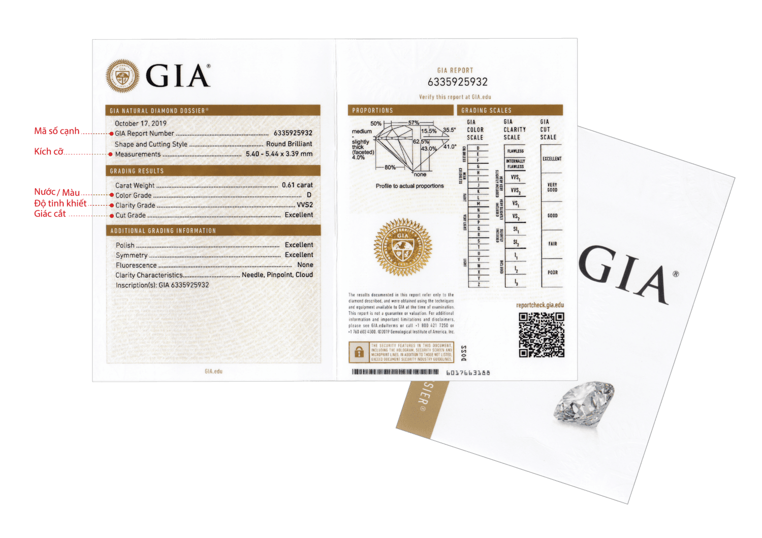 Giấy kiểm định GIA kim cương tự nhiên
