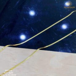 DÂY CHUYỀN NỮ VÀNG 14K(610)
